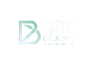 BSB Disbrave